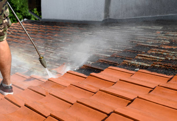 Best Pressure Washing Contractors  in Caseyvle, IL
