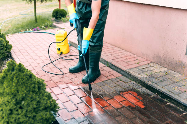Best Local Pressure Washing Services  in Caseyvle, IL