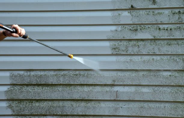 Best Deck Cleaning Services  in Caseyvle, IL