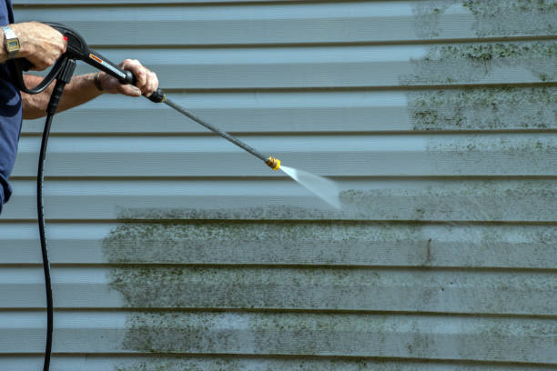 Best Pressure Washing Near Me  in Caseyvle, IL