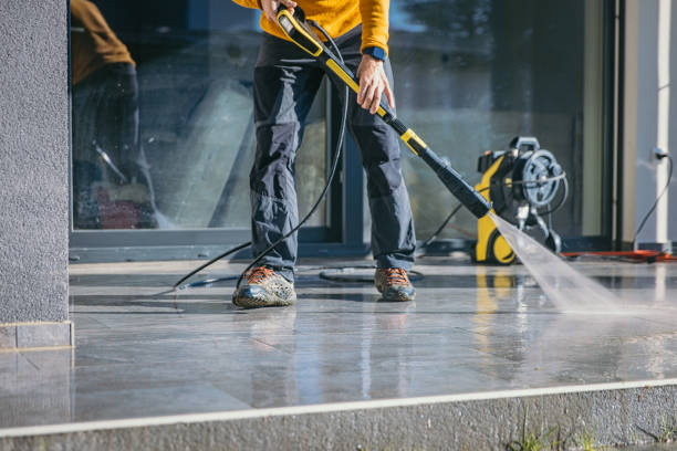 Best Affordable Power Washing  in Caseyvle, IL