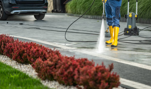 Best Concrete Pressure Washing  in Caseyvle, IL