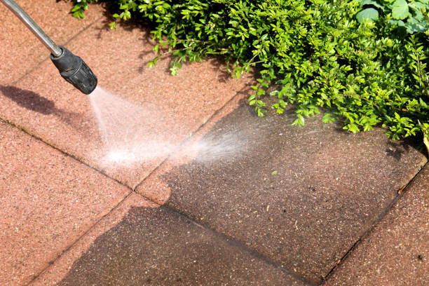 Best Deck Pressure Washing  in Caseyvle, IL
