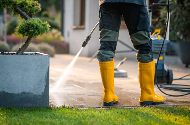 Best Roof Pressure Washing  in Caseyvle, IL